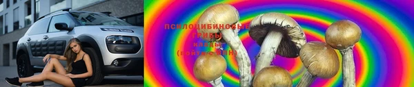 гидра Армянск
