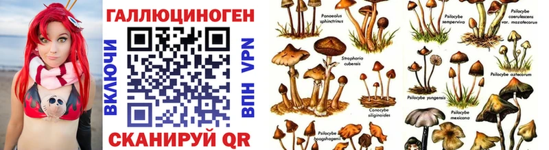kraken ONION  Нижняя Тура  Галлюциногенные грибы мухоморы 