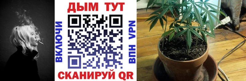 Бошки Шишки Amnesia  купить  сайты  Нижняя Тура 